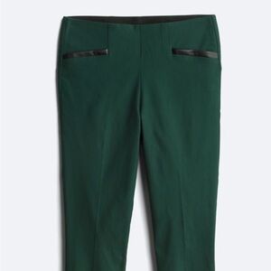 Green Skinny Ponte Pants - Tailored Women's Fit